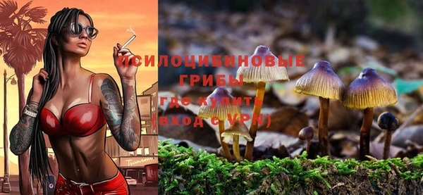 MDMA Белокуриха
