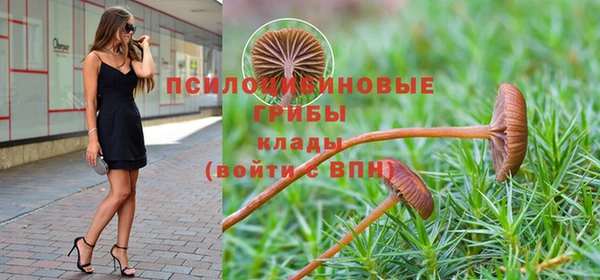 прущая мука Беломорск